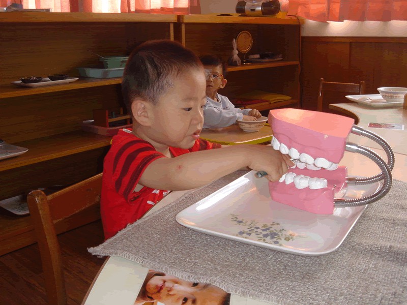30The Application of Montessori Teaching Method